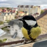 КОРОТКИЕ ИСТОРИИ
